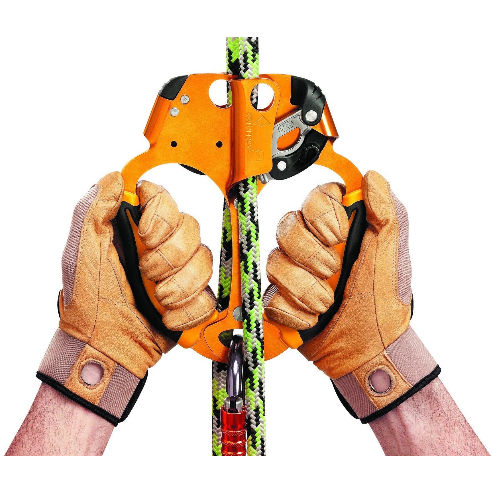 Petzl Ascentree Double-Handled Ascender - Aerial Adventure Tech