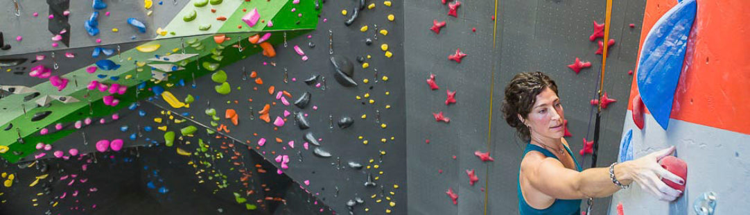 Climbing Gyms and Walls | Aerial Adventure Tech