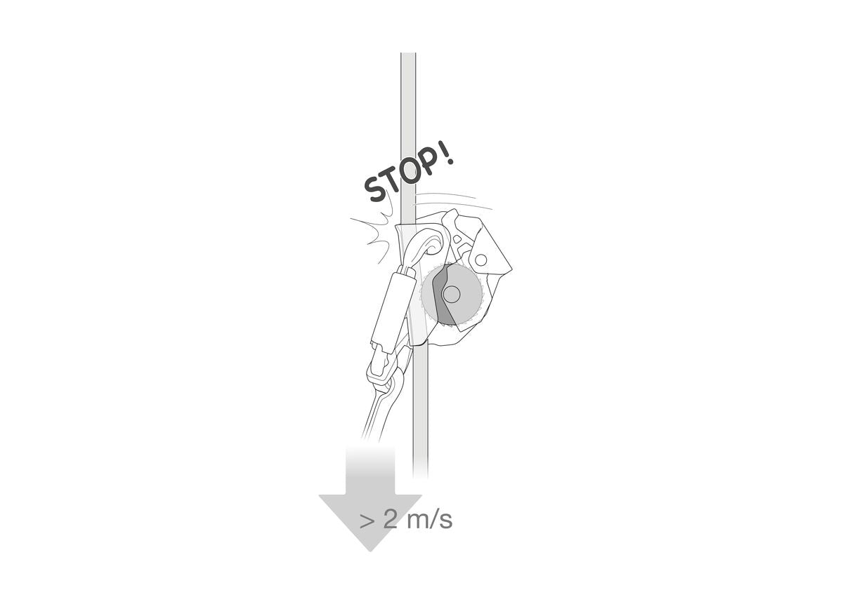Asap Fall Arrestor