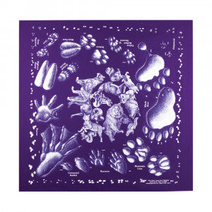 Nature Facts Bandana