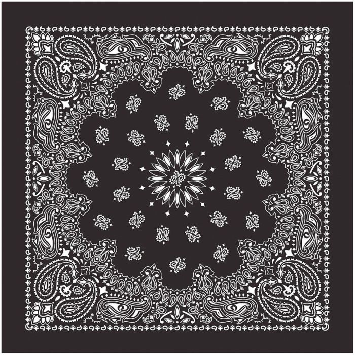 USA Paisley Bandana
