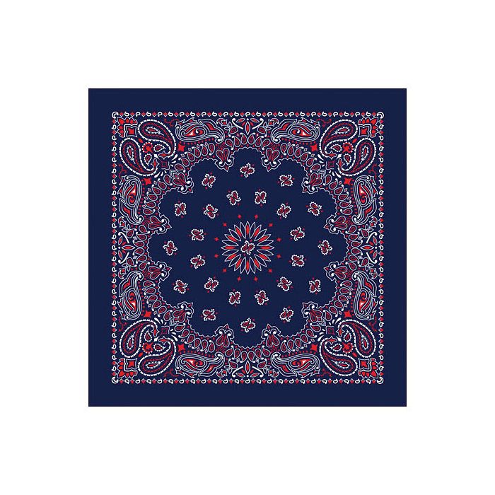 USA Paisley Bandana