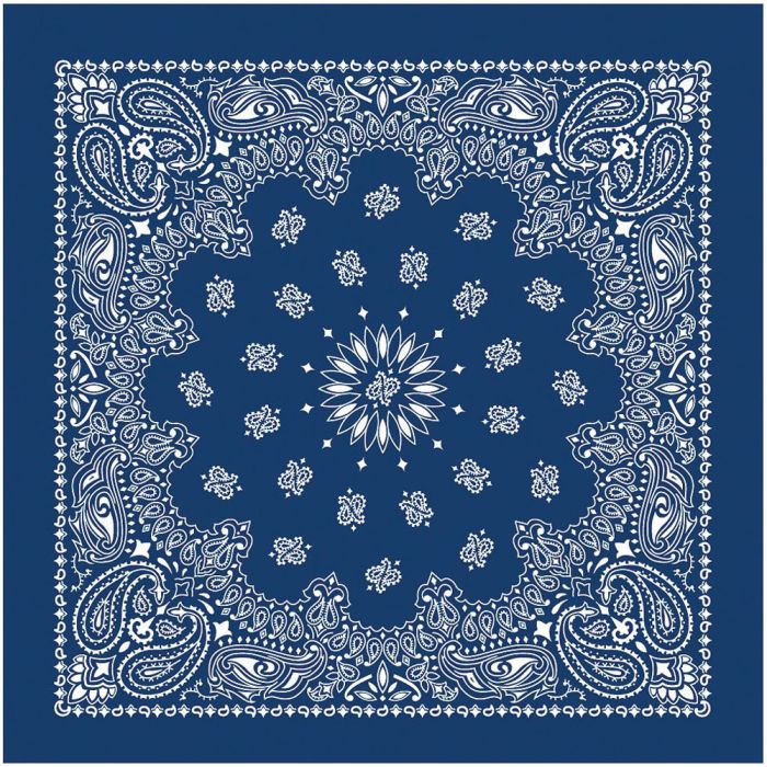 USA Paisley Bandana