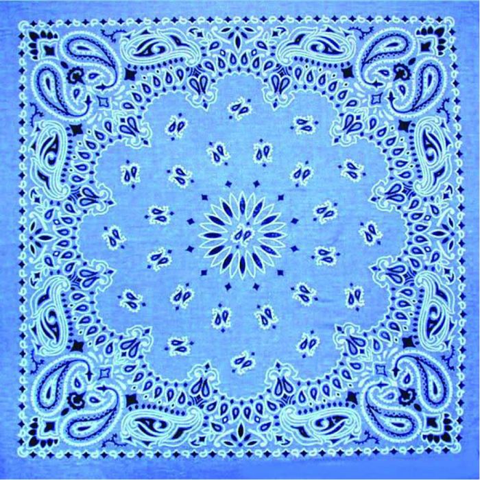 USA Paisley Bandana
