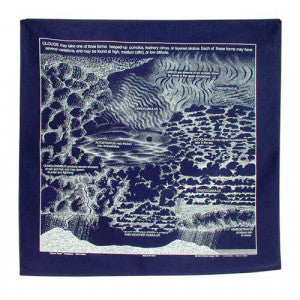 Nature Facts Bandana