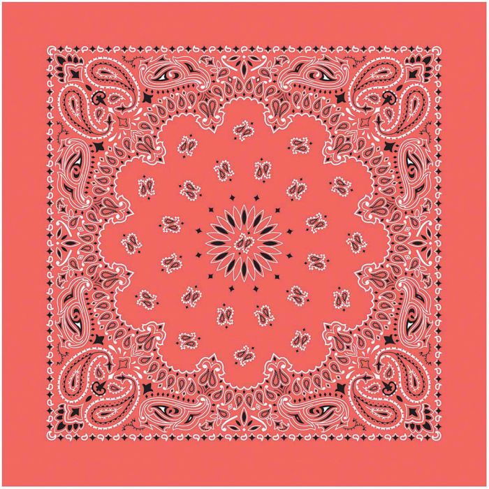 USA Paisley Bandana