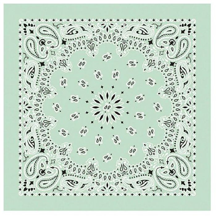 USA Paisley Bandana