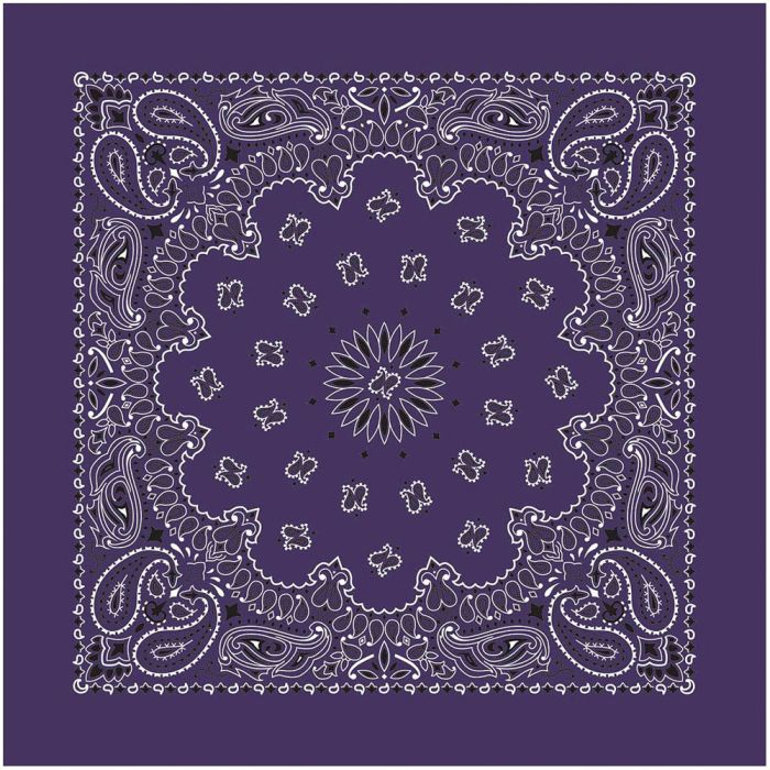 USA Paisley Bandana