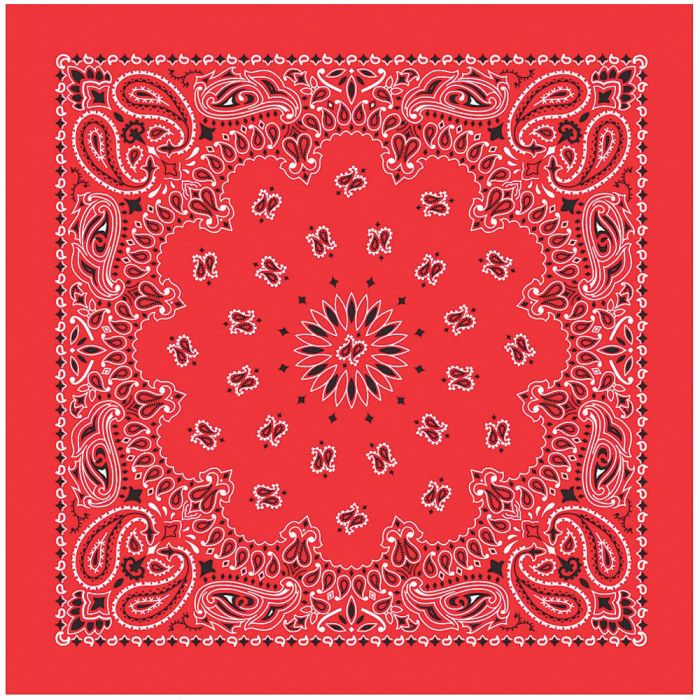 USA Paisley Bandana