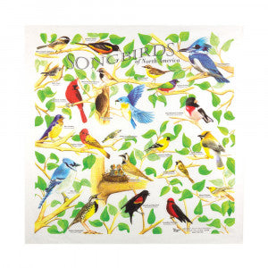 Nature Facts Bandana