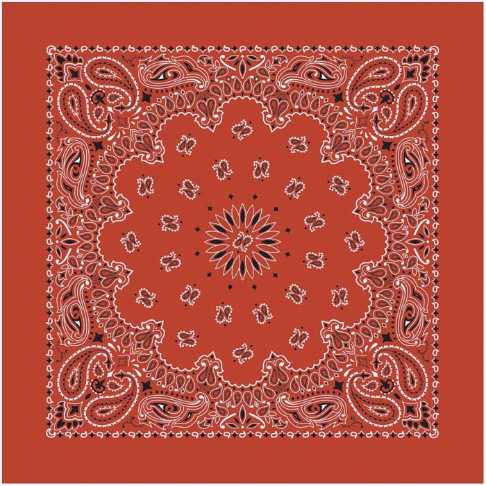 USA Paisley Bandana
