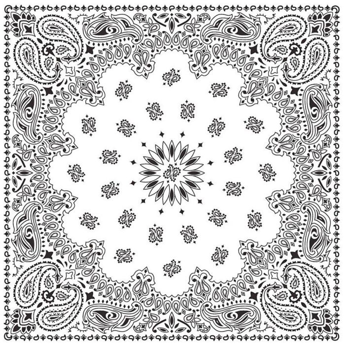 USA Paisley Bandana