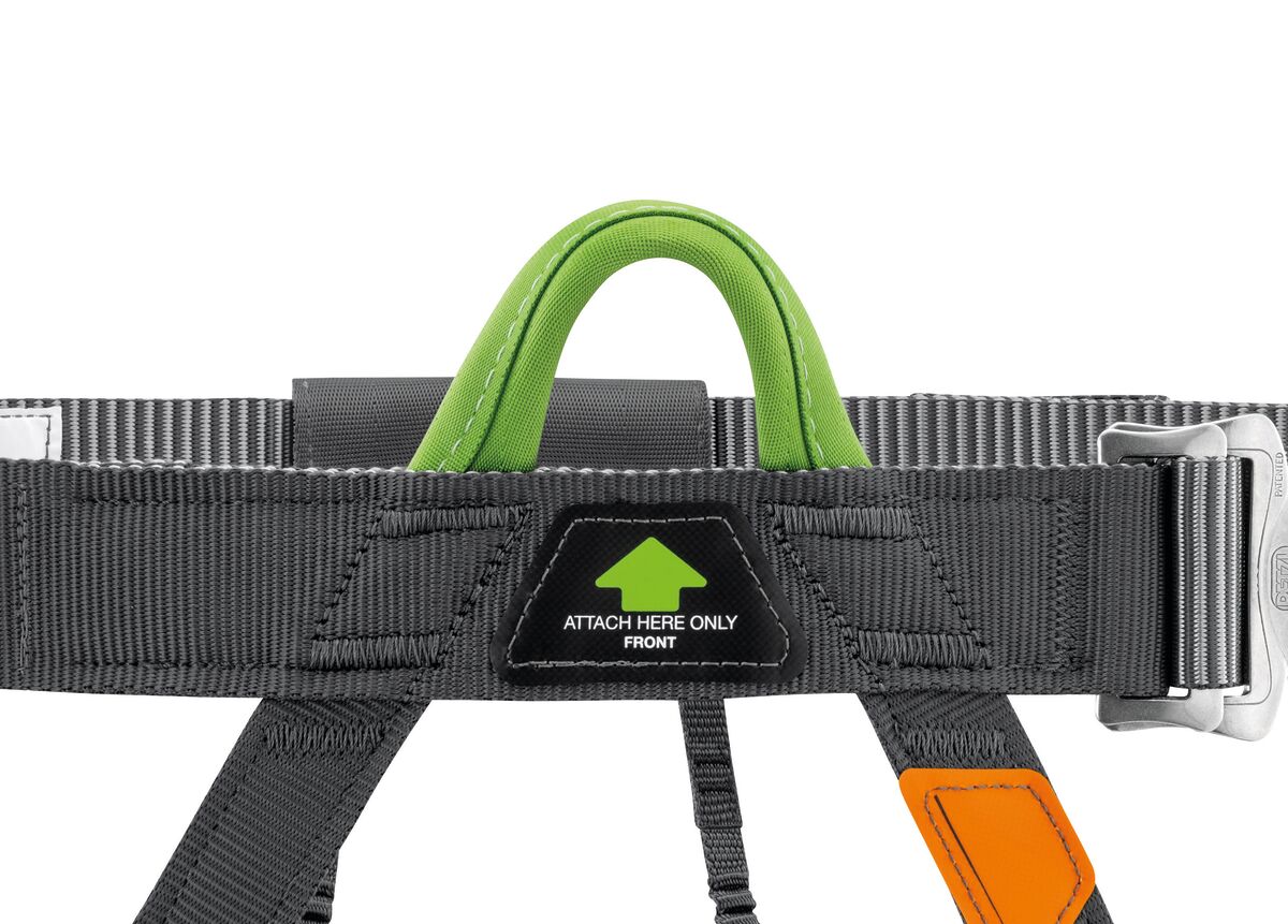 Stainless Pandion Harness
