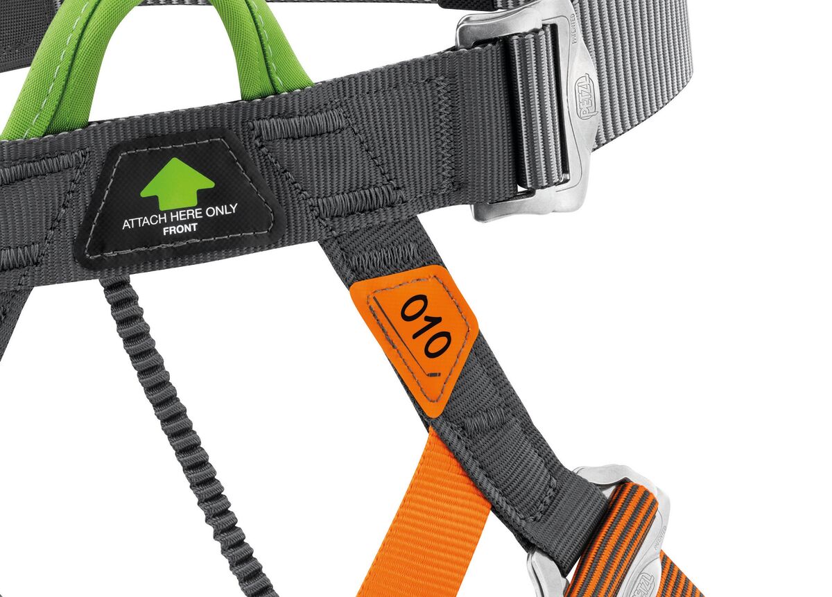 Stainless Pandion Harness