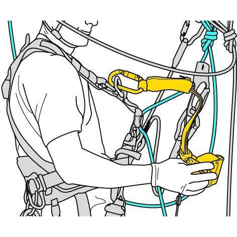 Petzl Asap Lock Fall Arrestor - Aerial Adventure Tech