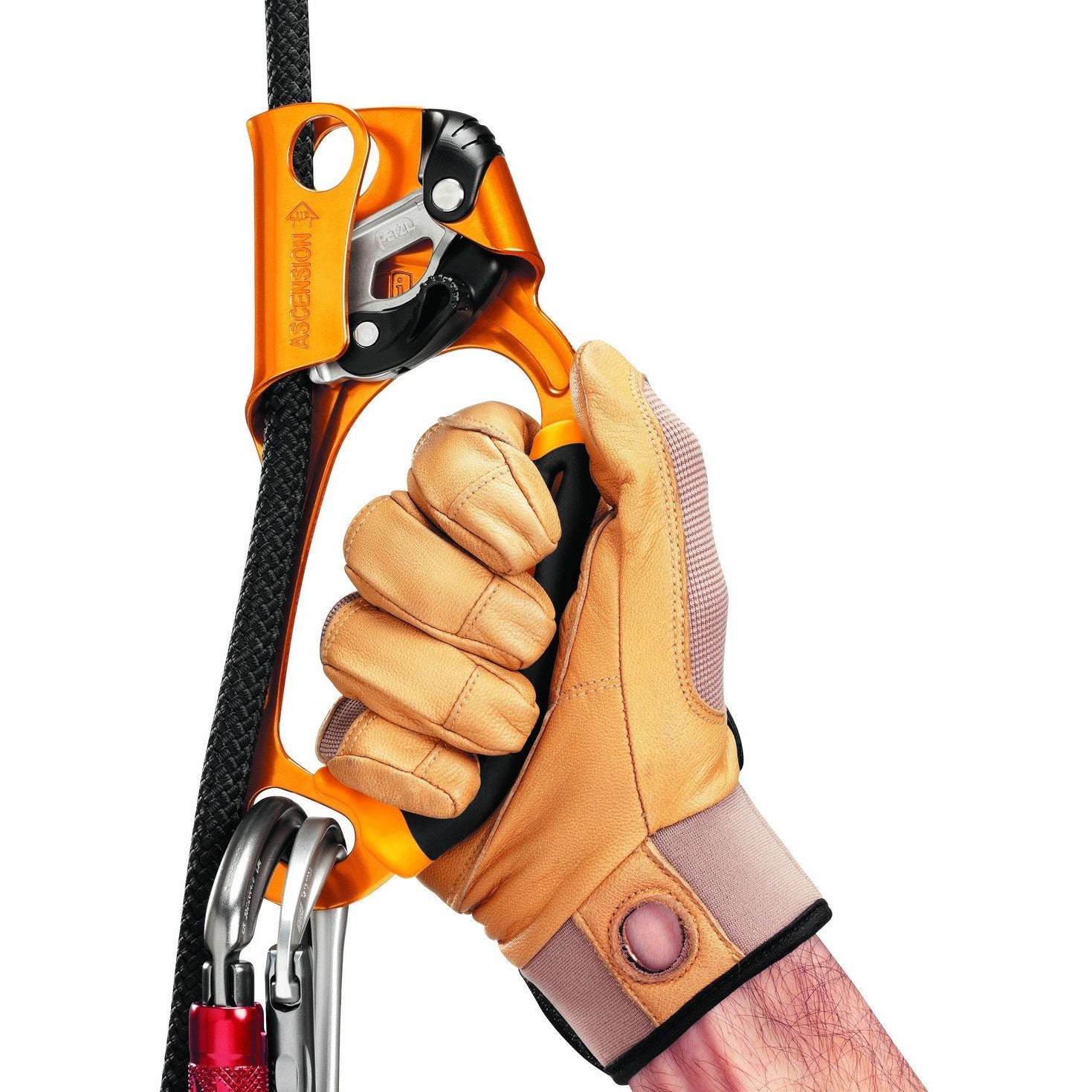 Petzl Ascension Ascender - Thumbnail 3