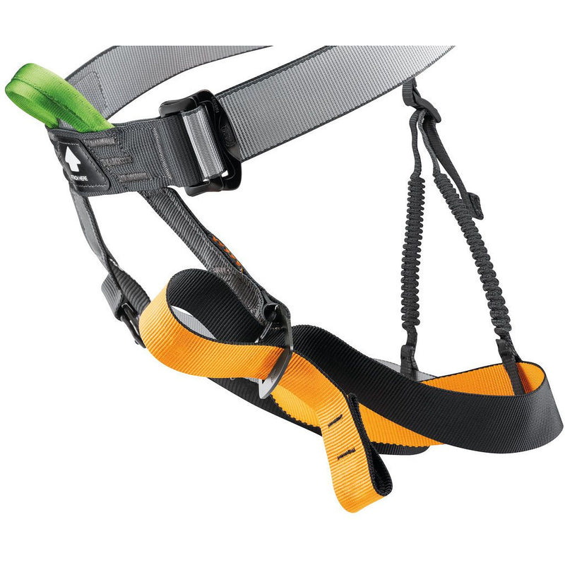 Petzl Gym Sit Harness - Aerial Adventure Tech