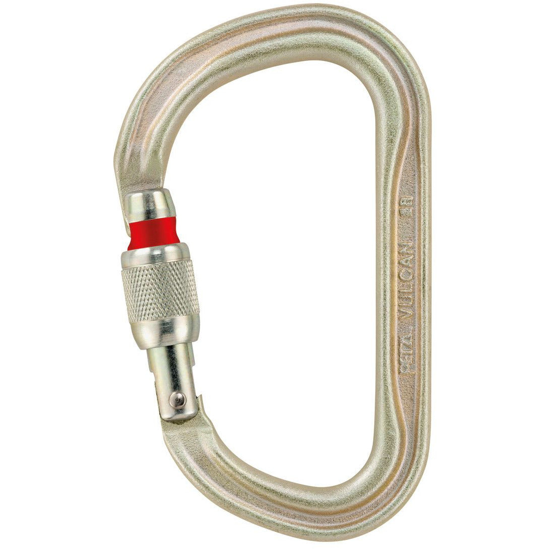 Petzl Mousqueton SM D - Screw-Lock Gris